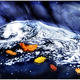 Fall Flotilla