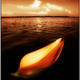 Palm Leaf Sheath Boat