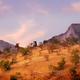 Olive Mountains