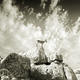 print---book-Mountains…
