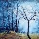 Tree of light