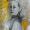 Sunshine Girl, 2010