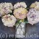Hydrangea in a vase