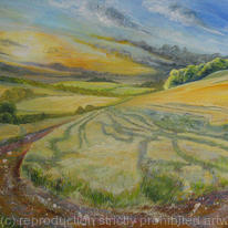South Downs, patterns in the corn