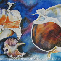 Broken Sea Shells Conversing