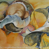 Broken Sea Shells Dancing