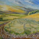 South Downs, patterns…
