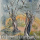 Olive Trees, Pelion,…
