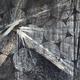 angels&devils#1 | £300 | | graphite angels&devils#1