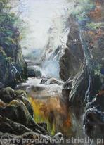 Fairy Glen