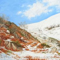 Sheep in Snow