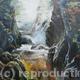 Fairy Glen