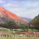 Moel Eilio Sunset | | | Oil Moel Eilio Sunset
