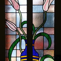 Front door - tulip
