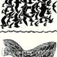 ABOVE AND BELOW - FISH…