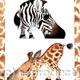 AFRICAN SHOES