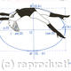ellipse